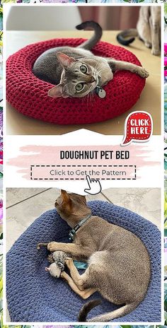 Cat Collars - Ouch! - Struggling to get the ideas that you have been looking for? Why not try Amazon.com TODAY! Cat Cave Crochet Pattern, Cat Bed Pattern, Christmas Cat Collar, Round Dog Bed, Crochet Cat Toys, Cat Tent, Dog Sweater Crochet Pattern, Pet Kitten