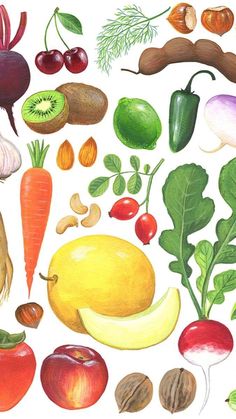 an illustration of various fruits and vegetables on a white background