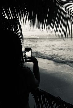 a woman taking a photo with her cell phone on the beach while holding a palm tree