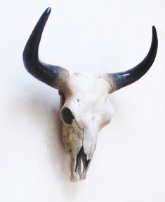 an animal's skull is mounted on the wall