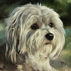 a painting of a white dog with brown eyes