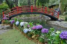 a red bridge over a small pond with purple and white flowers on the side, surrounded by greenery