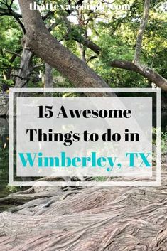 trees and water with the words 15 awesome things to do in winmberley, tx