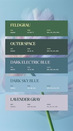 Colors:
43694D
3C514C
496F7C
94B9CE
C8C4D1 Marshmallow Color Palette, Notes Color Palette, January Color Palette, Branding Palette, Instagram Color Palette, Wes Anderson Color Palette, Flat Color Palette, Color Gradients