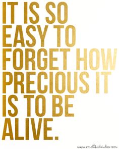 the words it is so easy to forget how precious you are, and be alive