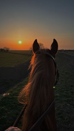 the back end of a horse's head as the sun sets in the distance