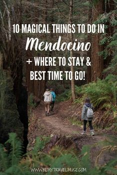 two people walking down a trail in the woods with text overlay that reads 10 magic things to do in medocino where to stay & best time to go