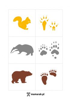 four different types of animals and their footprints