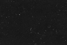 black and white photograph of snow flakes in the night sky, with small stars