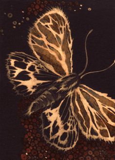 a painting of a butterfly on a black background