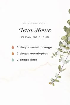 Best Essential Oils for Cleaning Recipes and Blends Clean Home Essential Oil Diffuser Blends, Deodorizing Essential Oil Blends, Essential Oils Recipes, Clean House Oil Diffuser Blend, Clean Home Essential Oil Blend, Clean Air Essential Oil Blend, Clean House Essential Oils Diffuser, Clean Kitchen Essential Oil Blend, Essential Oil Cleaner