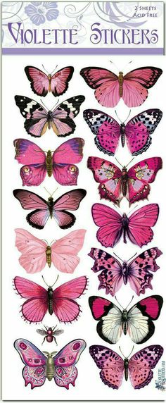 the butterflies are all different colors and sizes