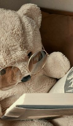 a teddy bear wearing glasses reading a book