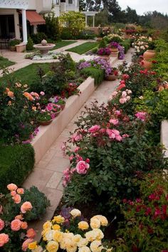 the garden is full of colorful flowers and greenery