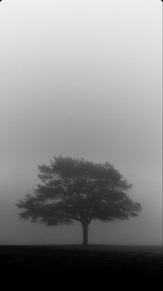 black and white photograph of a tree in the fog