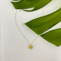 Add a touch of natural beauty to any outfit with our Succulent Necklace, featuring a stunning succulent pendant on a delicate chain. Natural Beauty, Chain, Pendant, Beauty