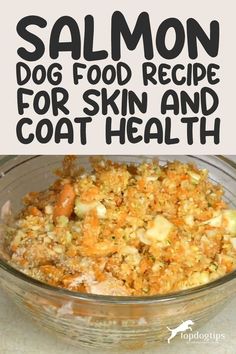 a bowl filled with food and the words salmon dog food recipe for skin and coat health