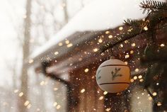 a christmas ornament hanging from the side of a tree in front of a house