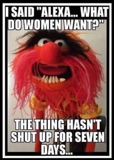 the muppet from sesame's movie is shown with captioning that reads, i said alexandria what do women want? the thing hasn't shut up for seven days