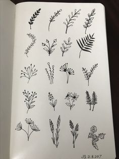 an open notebook with drawings of flowers and leaves