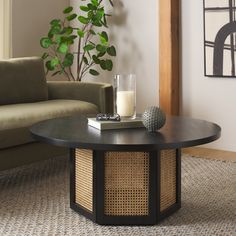 a living room with a couch, coffee table and potted plant in the corner