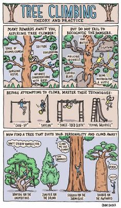 a comic strip about tree climbing and how it's different ways to climb the trees