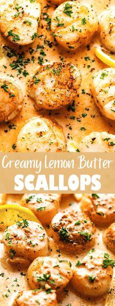 creamy lemon butter scallops with fresh herbs on top and in the middle, ready to be eaten