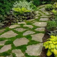 a stone path in the middle of a lush green garden