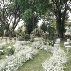 white chairs are set up in the middle of a garden with flowers and greenery