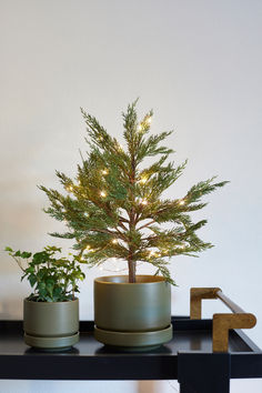 Our olive 'Round Two' planters in 4'' and 6'' are the perfect size to house tabletop miniature holiday trees. Social Sustainability, Tahoe House, Christmas Tree Inspo, 1960s Design, Staging Ideas, Christmas Pageant, Natural Christmas Decor, Christmas Plants, College Stuff