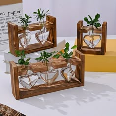 three wooden frames with plants in them on a table