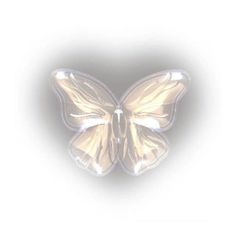 an image of a butterfly on a white background