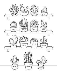 a shelf filled with potted plants and cacti