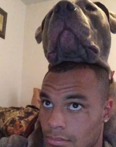 a man with a dog on top of his head