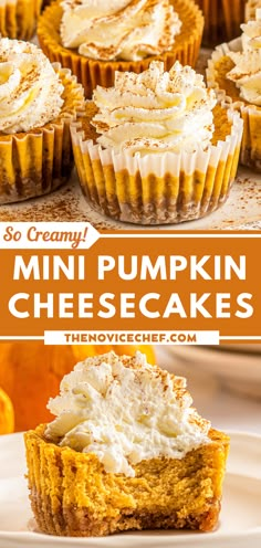 mini pumpkin cheesecakes on a white plate with the title overlay above it