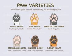 the paw varieties for different types of paws