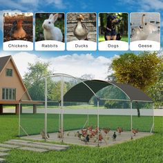 the chicken coop is designed to look like it has chickens and rabbits in it,