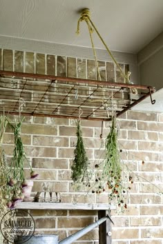 herbs hanging from a rack in front of a brick wall