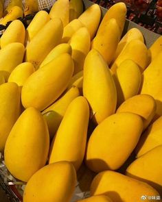 a bunch of mangoes sitting on display at a market