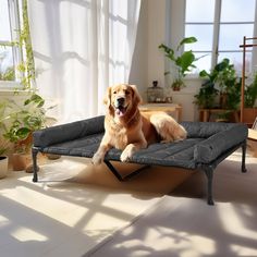 Amazon.com : Veehoo Cooling Elevated Dog Bed + Waterproof Removable Pillow-Top Mat, Bolster Dog Cot Bed, Raised Pet Cot with Breathable Mesh, No-Slip Feet, Dog Sofa Bed for Indoor & Outdoor, XLarge, Beige CWC2331B : Pet Supplies Dog Cot Bed, Raised Pet Bed, Dog Bed Frame, Dog Couch Bed, Dog Cots, Elevated Dog Bed, Dog Couch, Bolster Dog Bed, Dog Sofa Bed