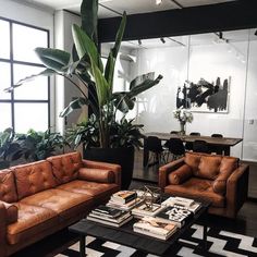 a living room with two couches, a coffee table and a plant in the corner