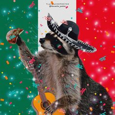 a raccoon wearing a sombrero and holding a guitar with confetti on it