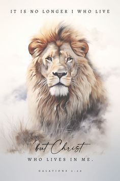 a painting of a lion with the words, it is no longer who live that christ who lives in me