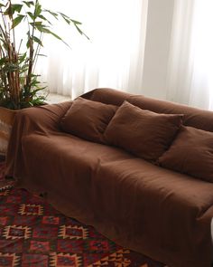 a brown couch sitting on top of a rug next to a potted plant