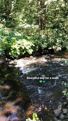 beautiful day for a walk in the woods with trees and rocks on either side of the river