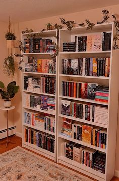 a book shelf filled with lots of books on top of a hard wood floor next to a rug