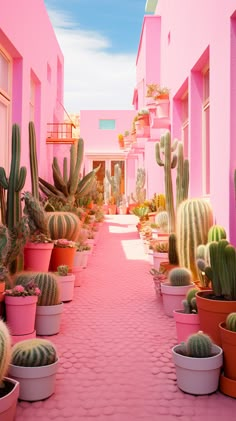 there are many cacti in the potted plants on the sidewalk and pink walls