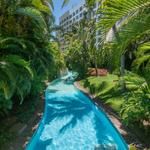 an empty swimming pool surrounded by lush green trees and palm trees in the foreground