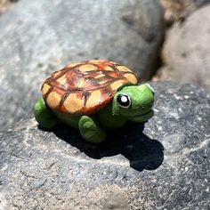 a small turtle is sitting on some rocks