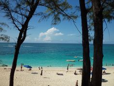 many people are on the beach and in the water